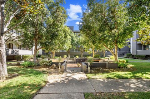 A home in Cupertino