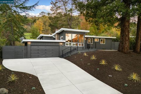 Photo of 3337 S Lucille Ln, Lafayette, CA 94549 (MLS # 41118389)