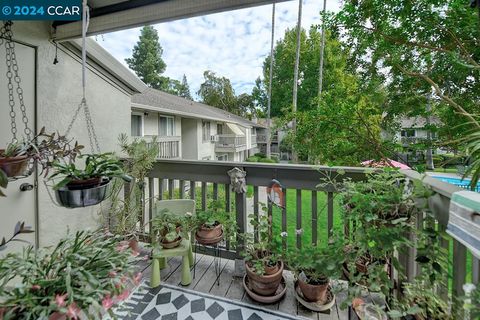 A home in Walnut Creek