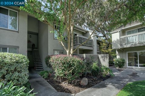 A home in Walnut Creek