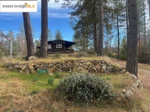 Photo of 6294 Dogtown Rd, Coulterville, CA 95311 (MLS # 41119422)