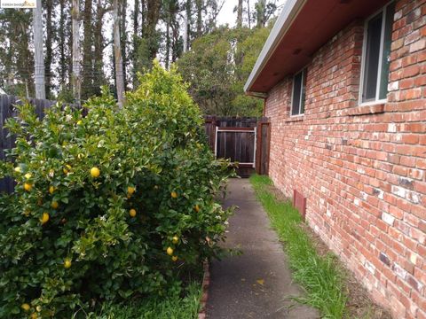 A home in Petaluma