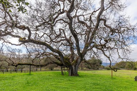 A home in Portola Valley