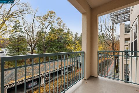 A home in Walnut Creek