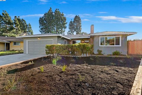 4668 Flamingo Park Ct Fremont CA 94538
