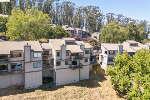 A home in El Cerrito