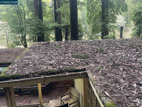 A home in Cazadero