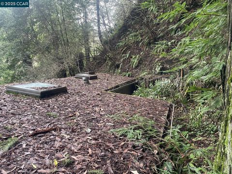 A home in Cazadero