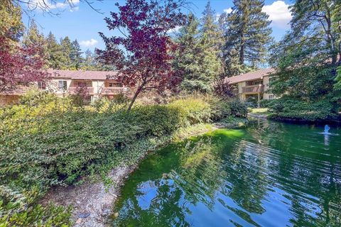 A home in Mountain View