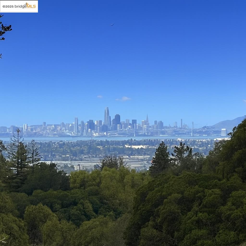 Water view featuring skyline