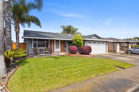 listing image 50