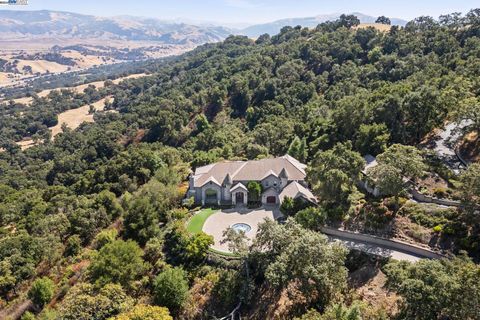 A home in Pleasanton