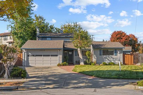 Photo of 3393 Sutton Loop, Fremont, CA 94536 (MLS # 41119124)