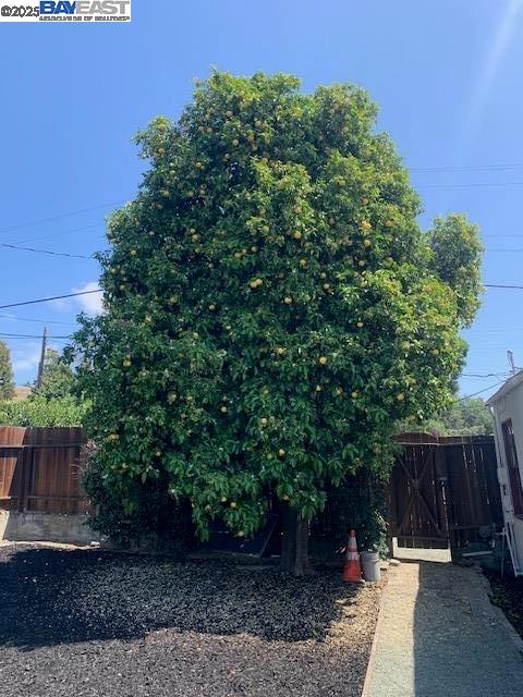 San Leandro, California 94578, United States, 6 Bedrooms Bedrooms, ,Residential,Pending,113502