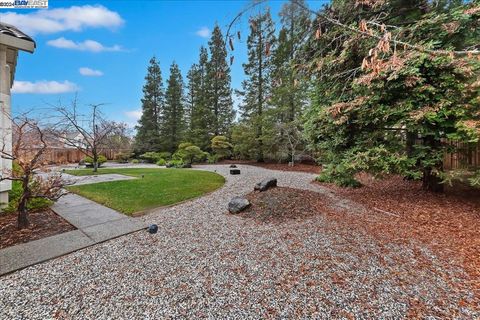 A home in Pleasanton