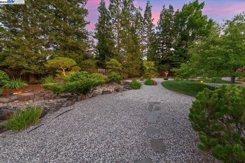 A home in Pleasanton