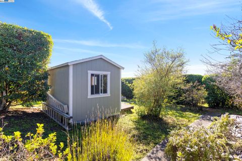 A home in El Cerrito