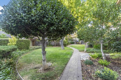 A home in Los Gatos