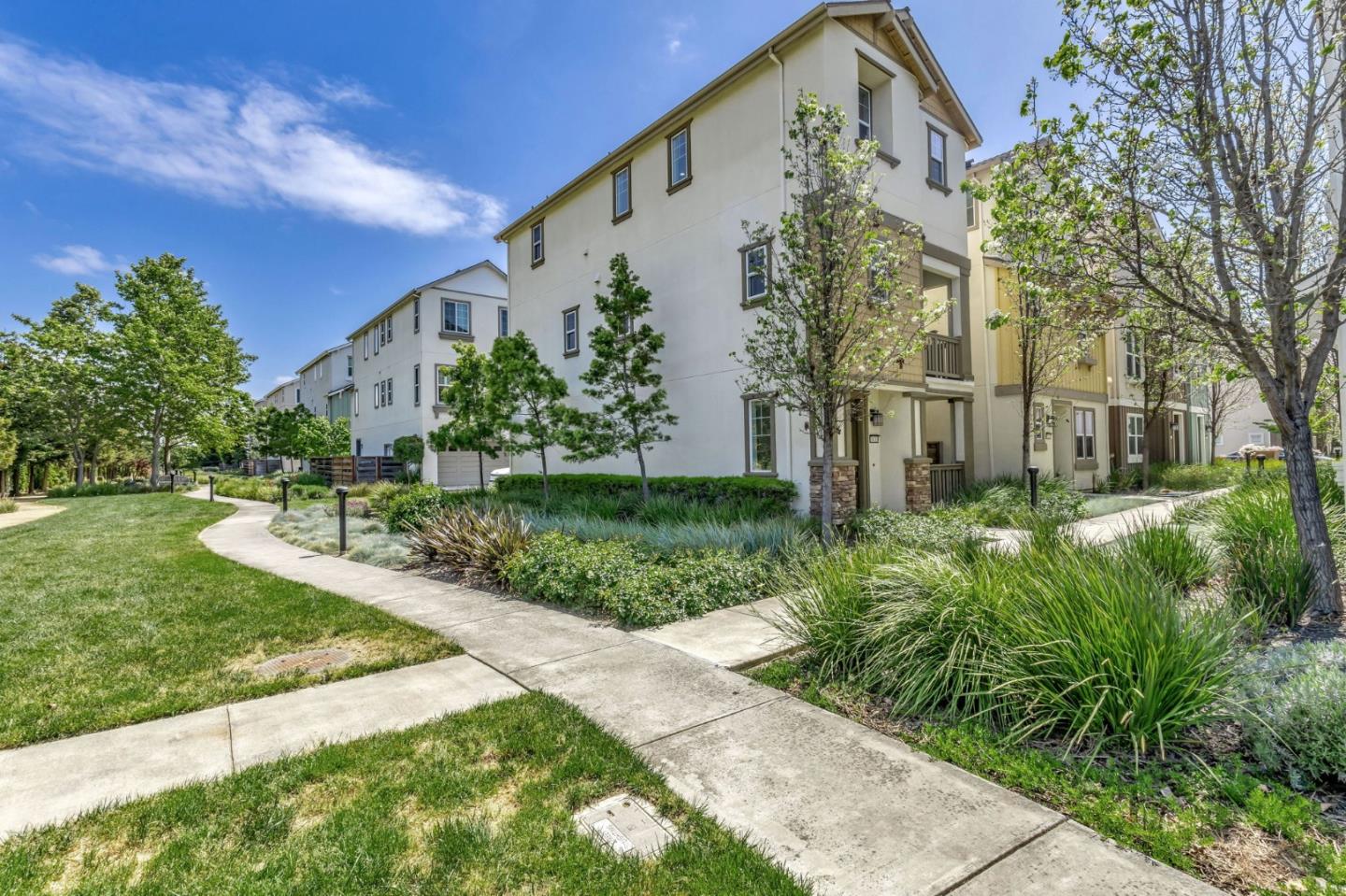 38118 Luma Terrace