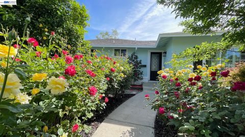 Photo of 4022 Silver St, Pleasanton, CA 94566 (MLS # 41129342)