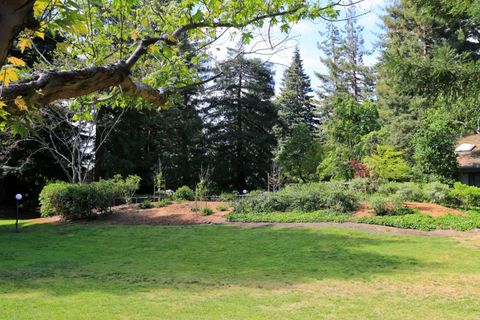 A home in Mountain View