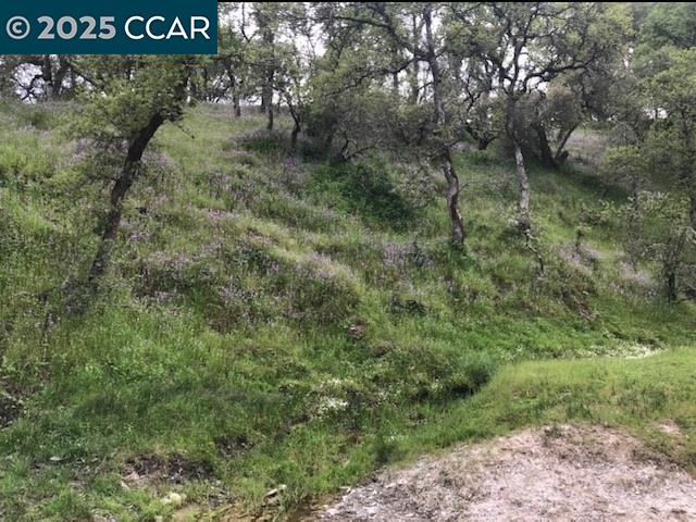 Copperopolis, California 95228, United States, 3 Bedrooms Bedrooms, ,2 BathroomsBathrooms,Residential,Active,167939