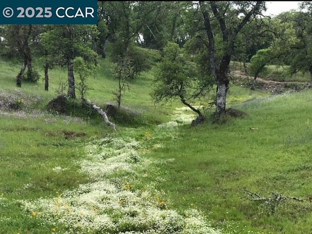 Copperopolis, California 95228, United States, 3 Bedrooms Bedrooms, ,2 BathroomsBathrooms,Residential,Active,167939