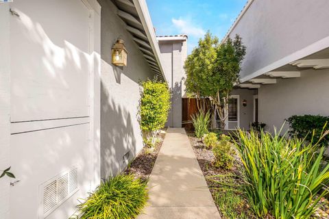 A home in Castro Valley