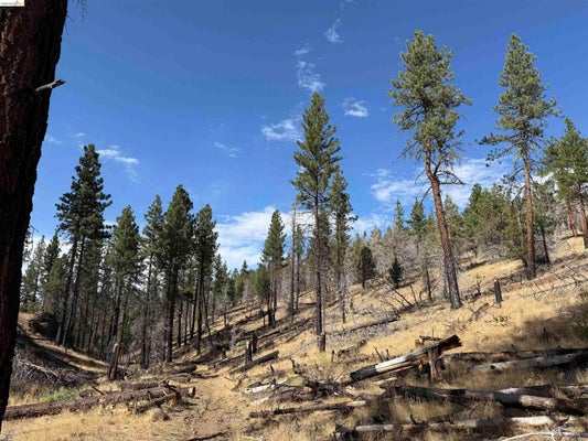 KIRK RD, GRIDLEY, CA 95948 - Image be81013775faeea0451d3fcb411cd18e/2457319306