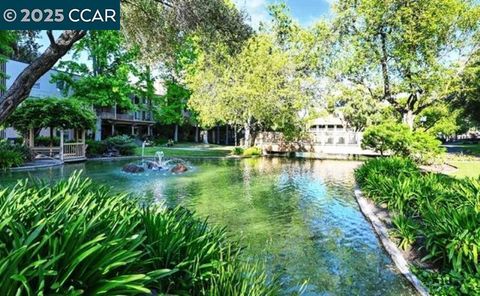 A home in Walnut Creek