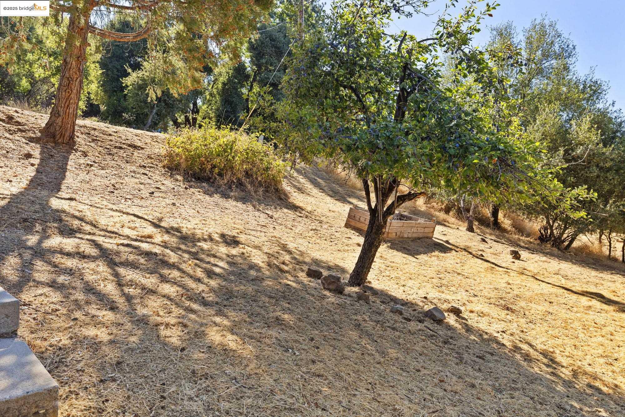 Tuolumne, California 95379, United States, 3 Bedrooms Bedrooms, ,3 BathroomsBathrooms,Residential,Active,205385