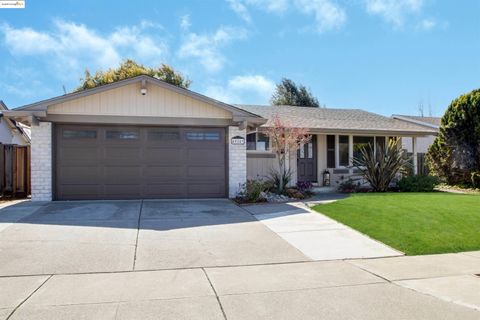 MLS: 41089776