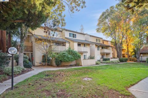 A home in Walnut Creek