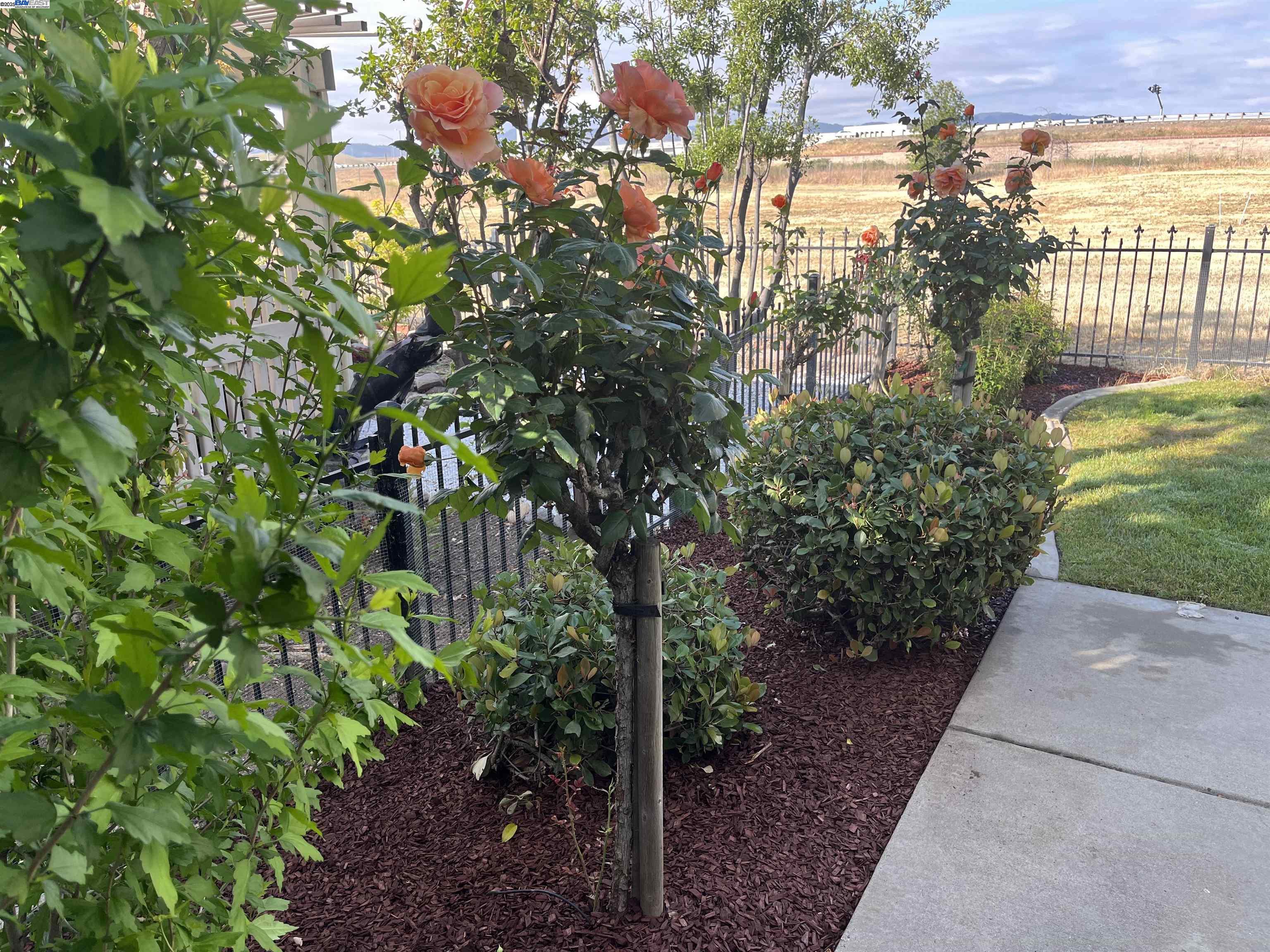 Brentwood, California 94513, United States, 2 Bedrooms Bedrooms, ,3 BathroomsBathrooms,Residential,Contingent,114402