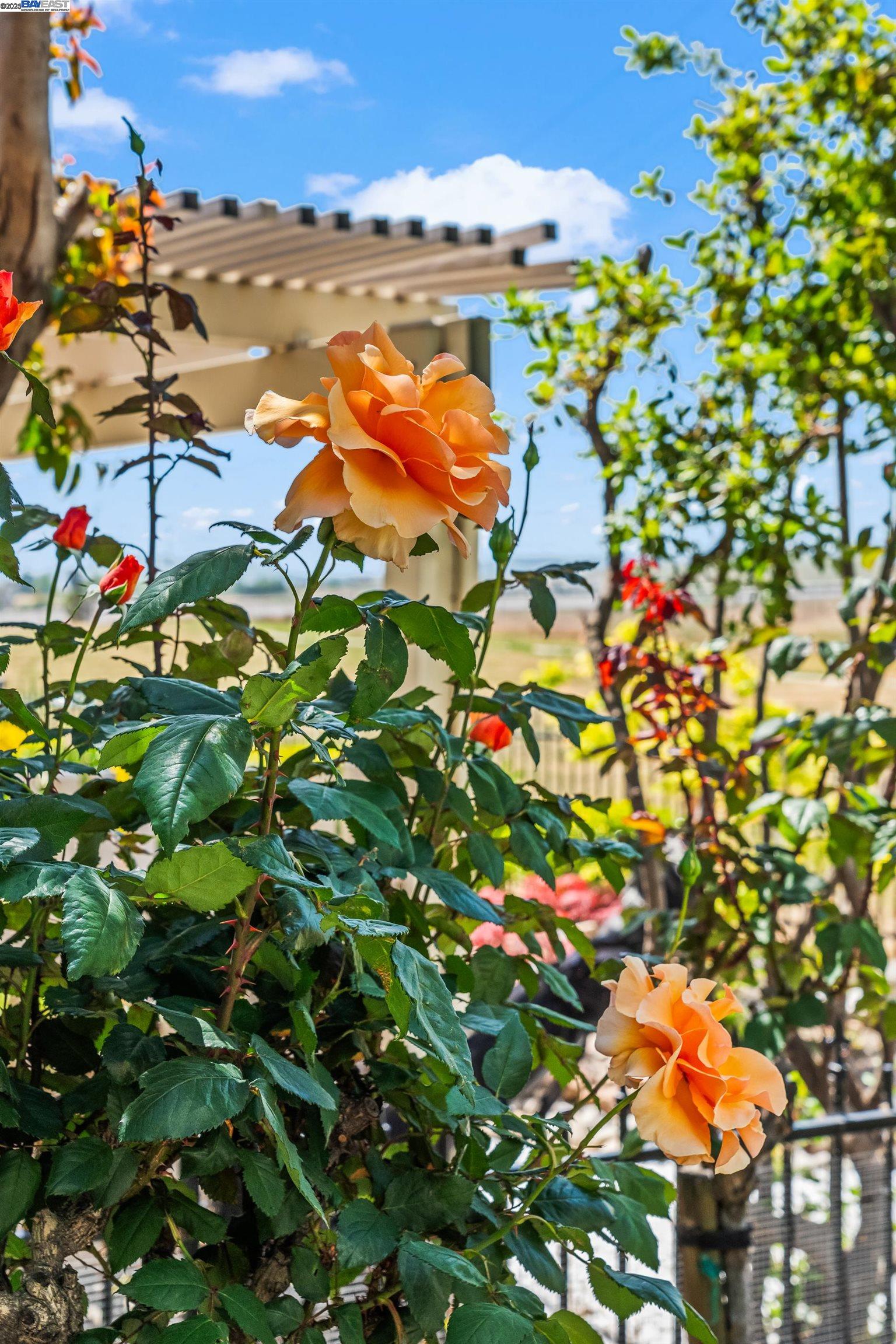 Brentwood, California 94513, United States, 2 Bedrooms Bedrooms, ,3 BathroomsBathrooms,Residential,Contingent,114402