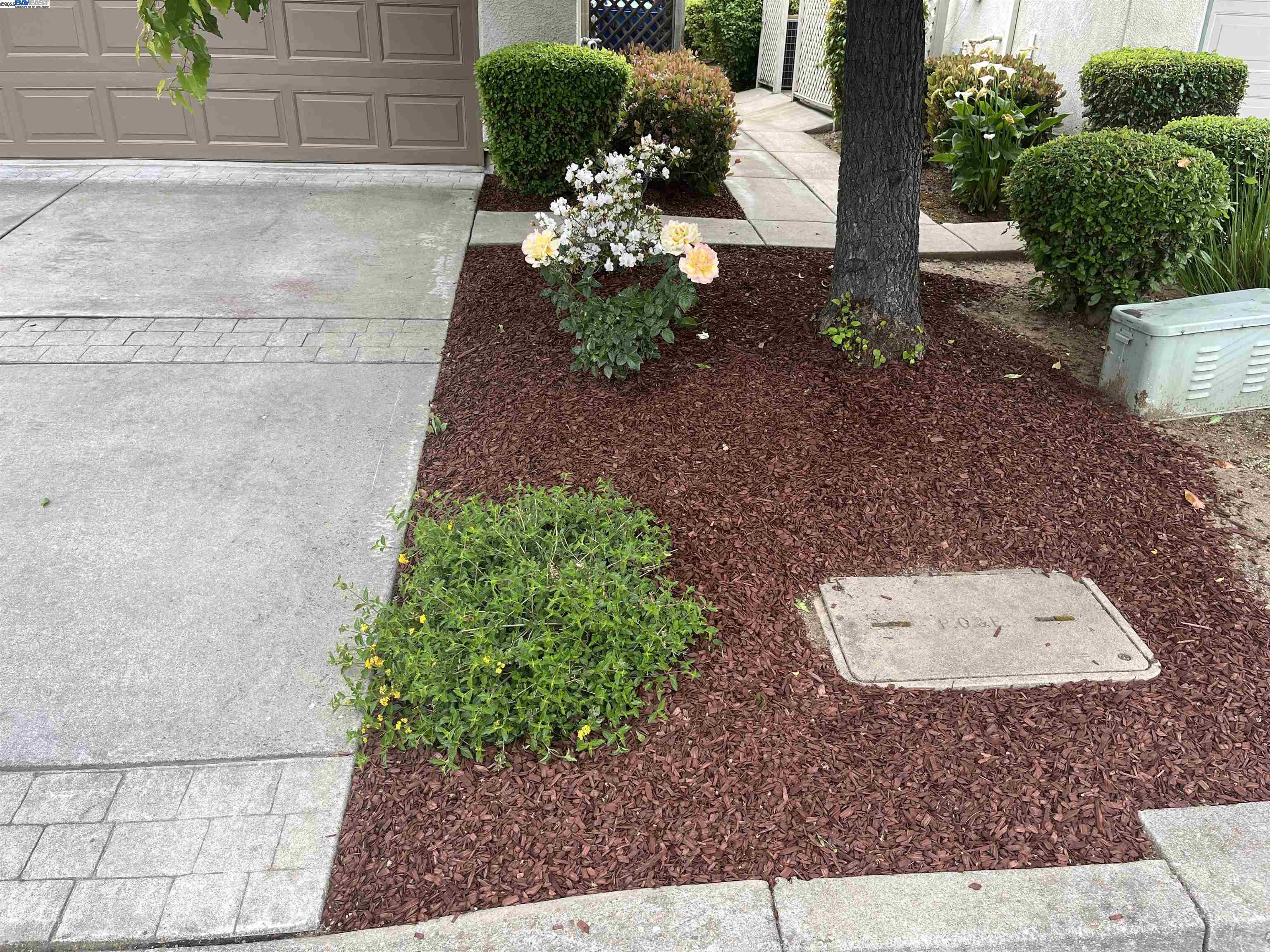 Brentwood, California 94513, United States, 2 Bedrooms Bedrooms, ,3 BathroomsBathrooms,Residential,Contingent,114402