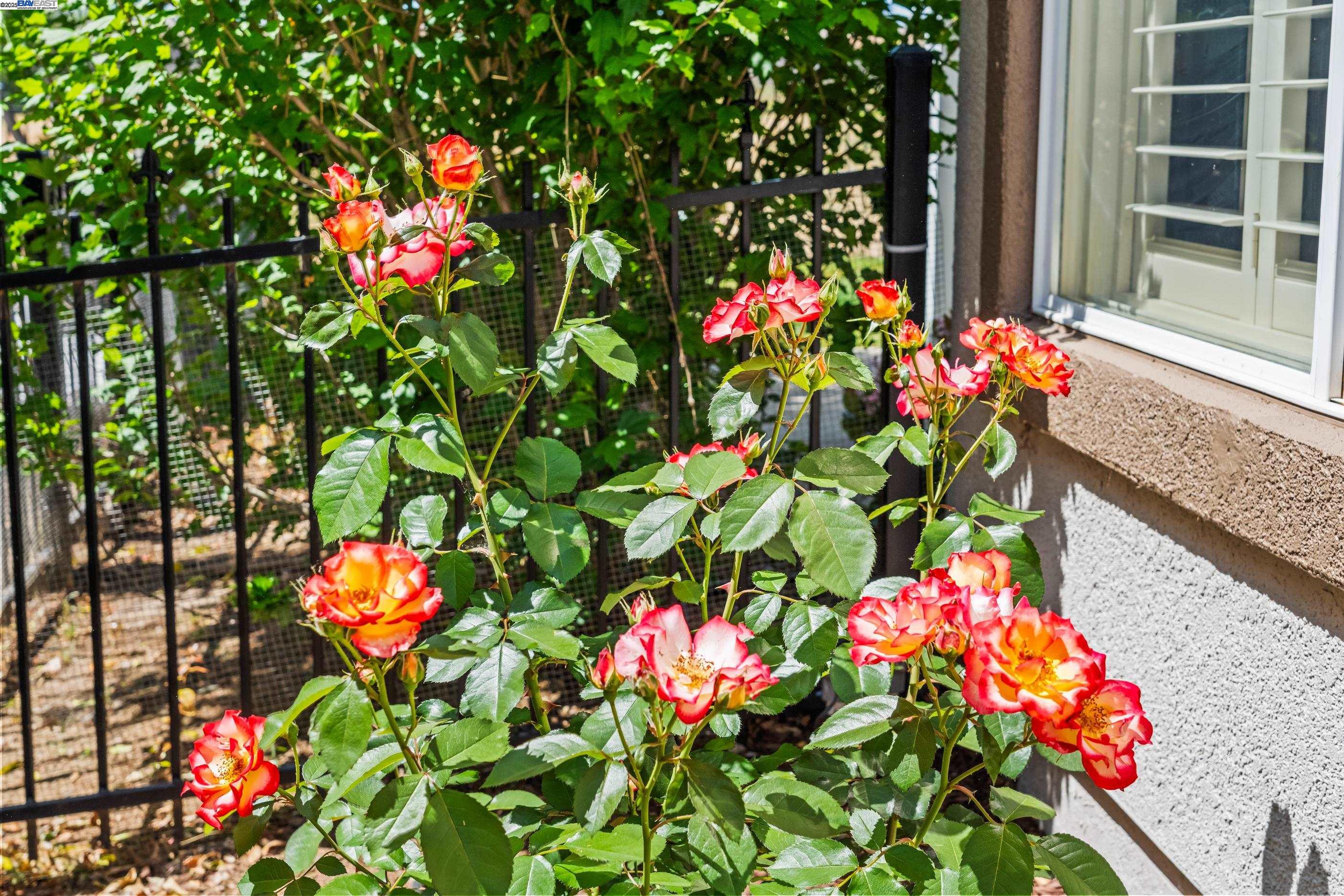 Brentwood, California 94513, United States, 2 Bedrooms Bedrooms, ,3 BathroomsBathrooms,Residential,Contingent,114402