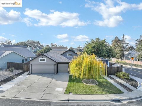 Photo of 2041 Beringer Way, Oakley, CA 94561 (MLS # 41118282)