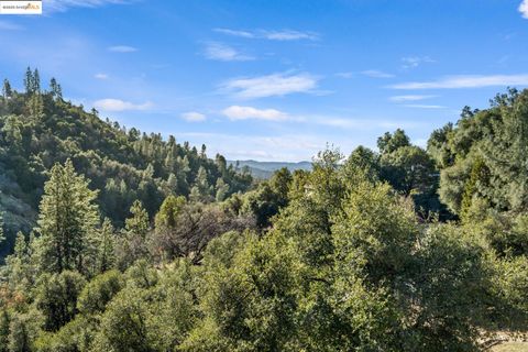 A home in Tuolumne