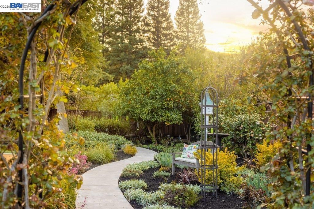 Photo of 1397 Pine Tree Dr, Alamo, CA 94507 (MLS # 41127299)