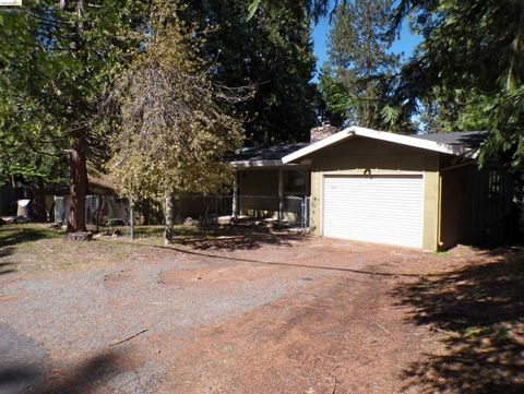 Photo of 20663 Haiapo Rd, Mi Wuk Village, CA 95346 (MLS # 41132907)
