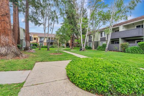 A home in San Jose