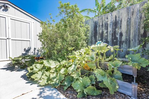 A home in San Bruno