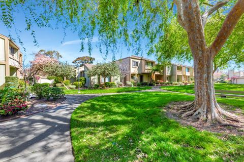 listing image 54