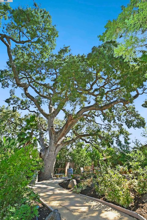 A home in Pleasanton