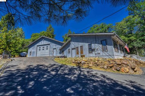 Photo of 20950 Ferretti Rd, Groveland, CA 95321 (MLS # 41132959)