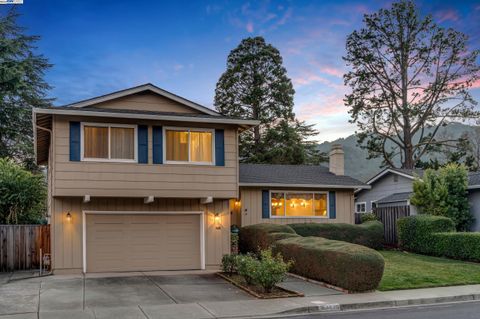 A home in Pleasanton