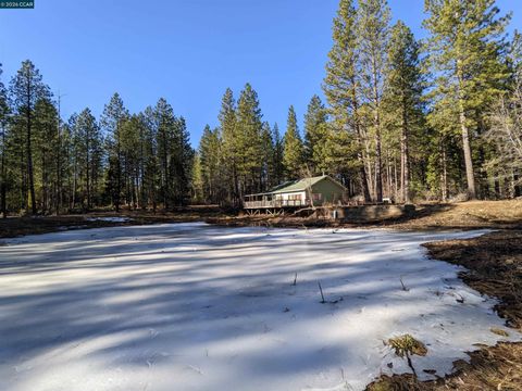 Photo of 31874 State Highway 44, Shingletown, CA 96088 (MLS # 41132685)