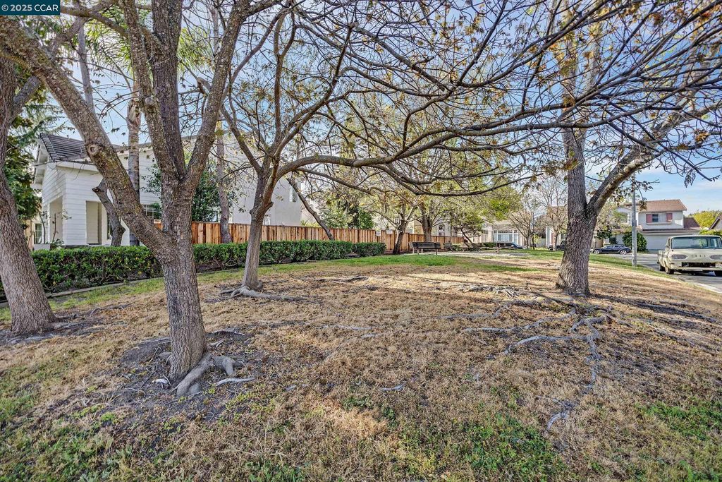 listing image 42