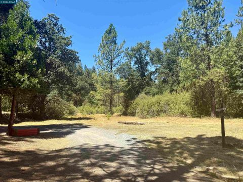 Photo of 4578 Pretty Good Rd, Placerville, CA 95667 (MLS # 41124118)